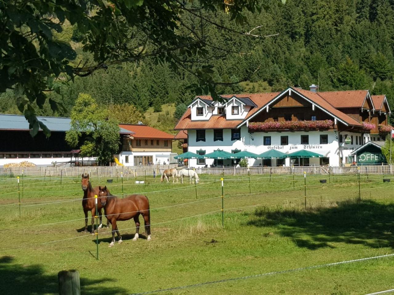 Ferienwohnung Gutshof zum Schluxen Pinswang Exterior foto